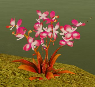 Fichier:FPP Fleur énigmatique.jpg