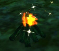 Item Bûcher en feu.jpg