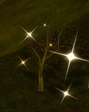 Item Bois de taille moyenne.jpg