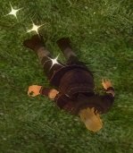 Item Butin des voleurs.jpg