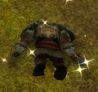 Item Cadavre de nain Piedfeu.jpg