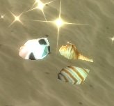 Item Carapace tachetée.jpg