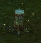 Item Châtaignier rouge.jpg