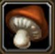 Item Champignon commun.jpg