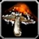 Item Champignon de chenille.jpg