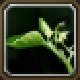 Item Chardon.jpg