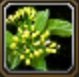 Item Chardon vert.jpg