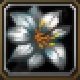 Item Fausse fleur d'hiver.jpg