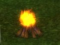 Item Feu ardent.jpg