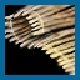 Item Fibre de tulipe.jpg