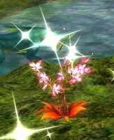 Item Fleur-mirage.jpg