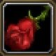 Item Fleur de cactus.jpg