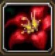 Item Fleur de cactus (objet).jpg