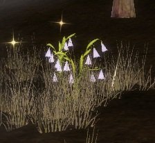 Item Fleur de glace Soyar.jpg