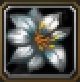 Item Fleur de soie.jpg
