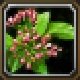 Item Fleur de vague.jpg