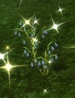 Item Fleur rafraîchissante.jpg