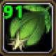 Item Graine - tulipane de la liberté.jpg