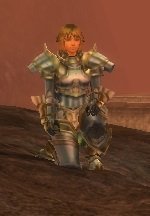 Item Guerrier de l'alliance.jpg