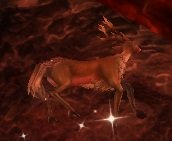 Item Gulo blessé (lieu).jpg