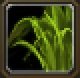 Item Herbe curative.jpg