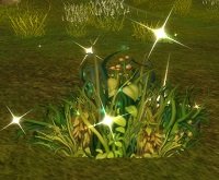 Item Herbe explosive.jpg