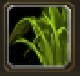 Item Herbe jaune pur (item).jpg