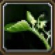 Item Herbe mordante.jpg
