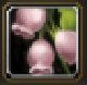 Item Lumière rose.jpg