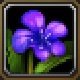 Item Nénuphar.jpg
