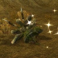 Item Objet étrange.jpg