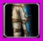 Item Pantalon de l'auréole du Chagrin.jpg
