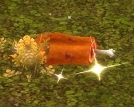 Item Piège à animal.jpg