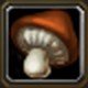 Item Pied de champignon géant.jpg