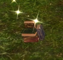 Item Pile de livres de Dilar.jpg
