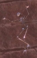 Item Reste de l'ancien mage.jpg