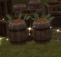 Item Seau de carottes (objet).jpg