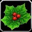 Item Spalières de la fleur du Festival Flocon de Neige (femme).jpg