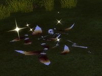 Item Squelette et plume suspecte de harpie.jpg