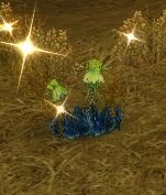 Item Tournesol vert.jpg