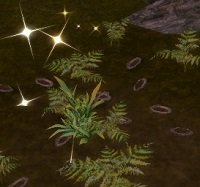 Item Trace de bataille chaotique.jpg