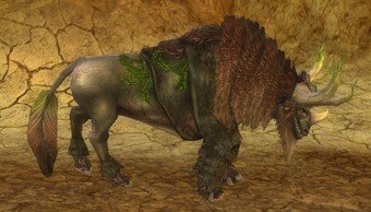 Mob Boshi des oasis.jpg