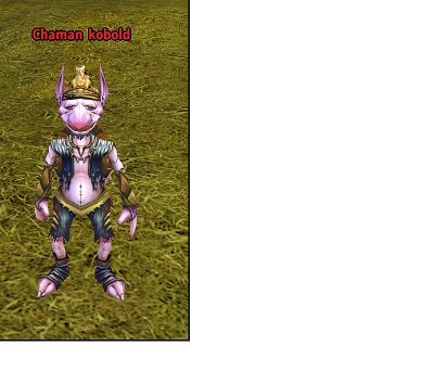 Fichier:Mob Chaman kobold.jpg