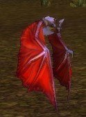 Mob Chauve-souris sanguine frugivore.jpg