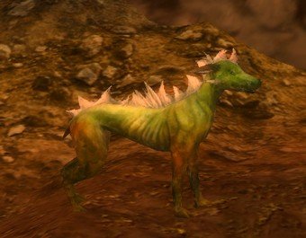 Mob Chupura affaibli.jpg