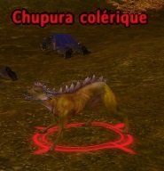 Mob Chupura colérique.jpg