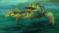 Mob Crabe de cristal.jpg