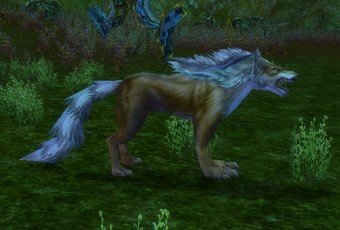 Mob Loup des flammes de la forêt.jpg