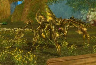 Mob Mante feuille-morte.jpg