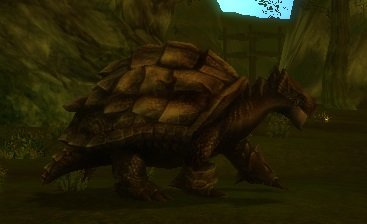 Mob Tortue shuma.jpg